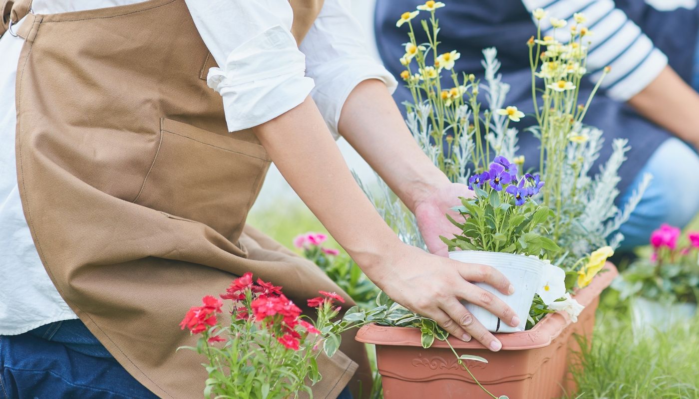 Aprile: i lavori da fare in giardino